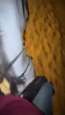 ماشاء الله.#خيل_وخياله🐎 #عراقي #شقراء_الدوادمي #دعم😋❣️