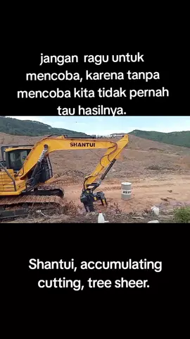 Excavator Shantui, Alat Tumbang pohon.#shantui #xuvol #treesheer #slotcutter #akasia 