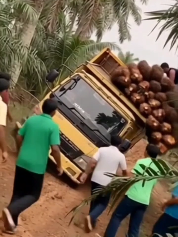 Truk oleng hampir saja tumbang buah tumpah semua 
