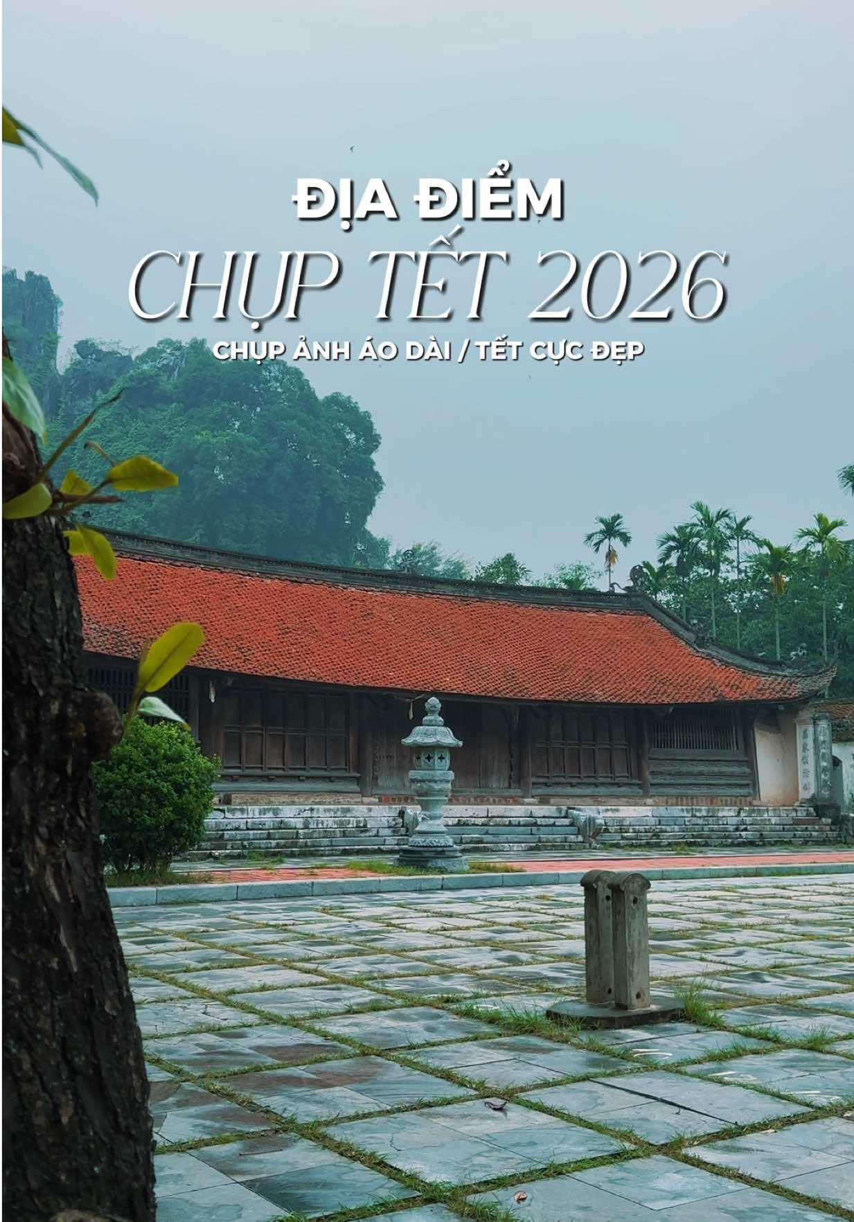 Địa điểm chụp ảnh Tết sắp tới không thể bỏ qua !  #tet2026 #diadiemsongao #chuathay #hanoi#minhthanh2210t 