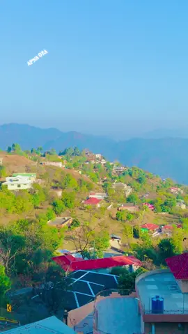 #@Mani (313) ##creatorsearchinsights foryou page fyyyyyyyyyyyyyyyyyyyyyyy