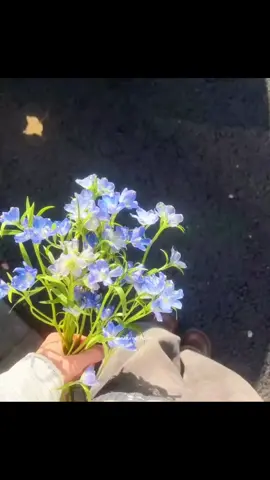 میں اچانک کو کبھی موت کا بستر اڑوں موت کے بعد مجھے اپنا بتاتے رہنا اور فرشتوں سے میں تنہائی کا چرچا نہ کروں چند ایک سال میری قبر پہ اتے رہنا #fypage #lines #poetrystatus #fyppppppppppppppppppppppp #foryoupage 