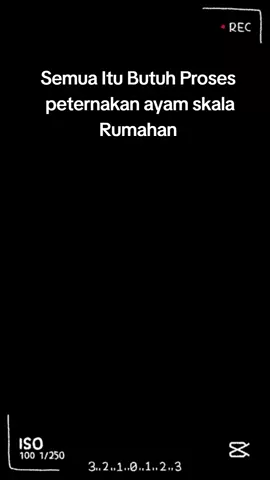 Ketua Pelaksana Harian Tim Koordinasi sekaligus Wakil Kepala Badan Gizi Nasional (BGN) Nanik Sudaryati Deyang menyampaikan bahwa Badan Pengelola Investasi Daya Anagata Nusantara (BPI Danantara) menyiapkan anggaran sebesar Rp 20 triliun. 