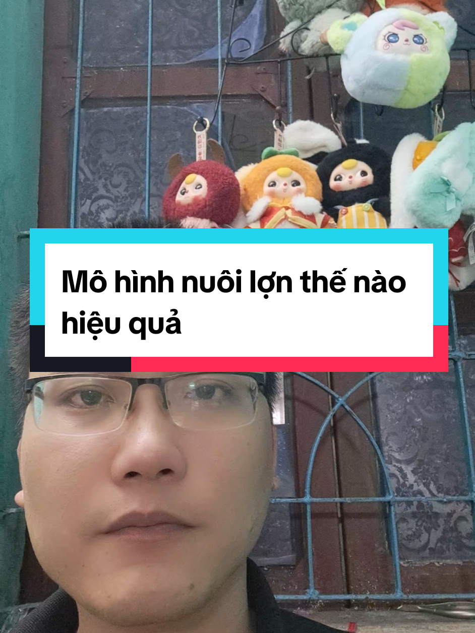 Trả lời @ngasapphire95  Mô hình nuôi lợn thế nào hiệu quả? #chăn_nuôi #khởi_nghiệp #nuôi_ngan #luân_làm_lông #luanlamlong 