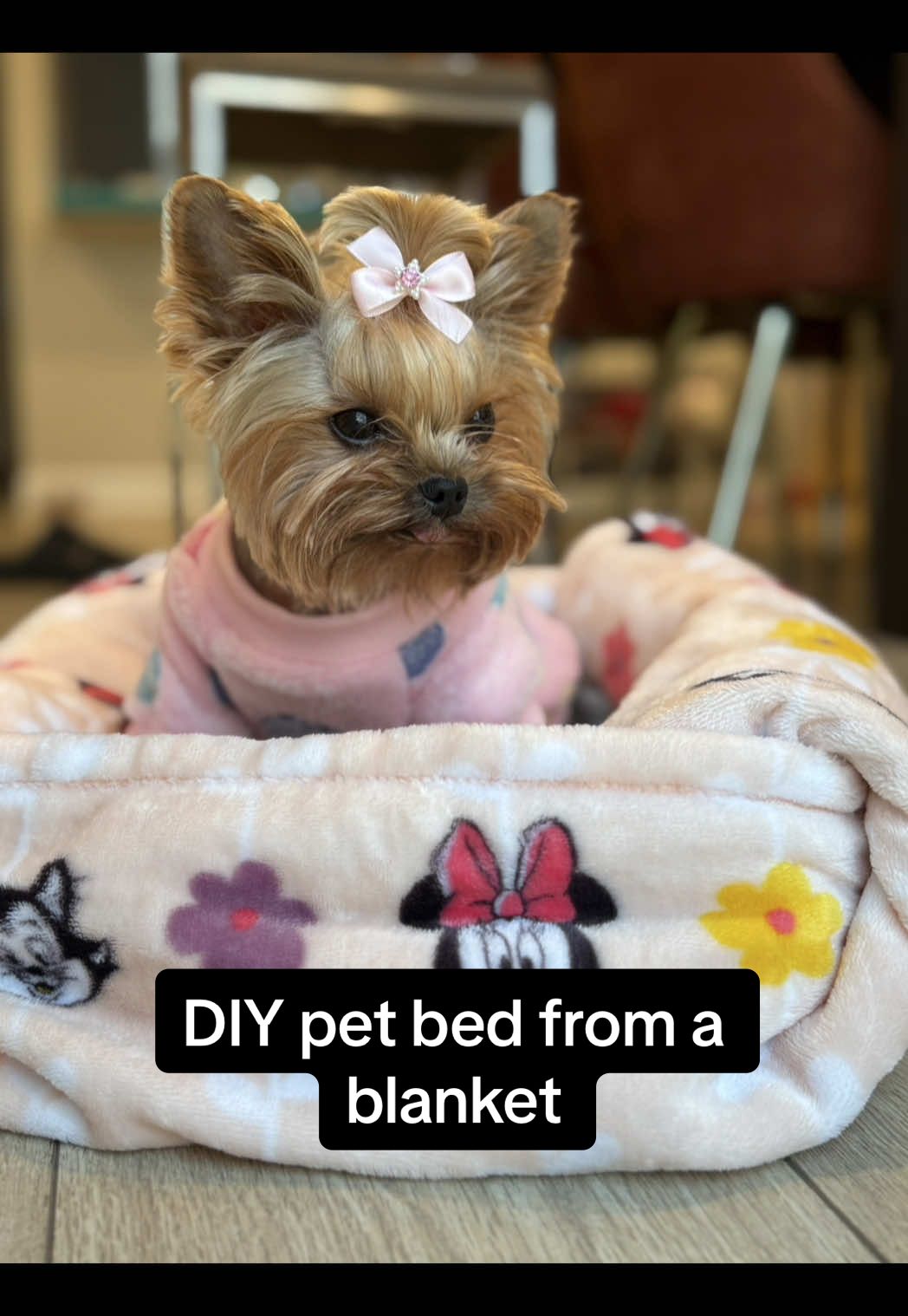 DIY pet bed. How to make a pet bed from a blanket. #petbed #dogbed #petcomfort #diypetbed #fyp