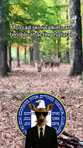 It’s an insult to my intelligence at this point #mossad #reptillian #vrilliant #agartha #schizo 