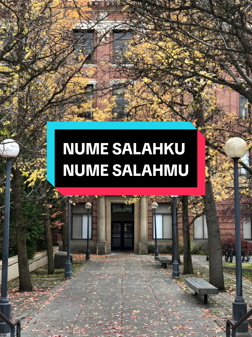 Membalas @ambulan99 Lagu Gayo - Nume (Deep House)  Lirik: Nume salahku, nume salahmu, ike kite judu demu wekase.  #lagugayo #lagugayoviral #berandafyp #gayo 
