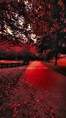 Cerveja de Garrafa 🔊 a vibe dessa música 🎶🤌🏻  . . . . . #cervejadegarrafa #atitude67 #letrasdemusicas #musica #foryoupage 