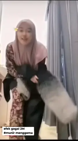 Tingkah komedi #irsalfauziahmakeup #minangtiktok #fauzanalovers #fypage #padangpariaman 