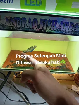 Seng santun seng santun #masukberanda #chanaandrao #andraogondrong #chanaandraoindonesia #andrao 