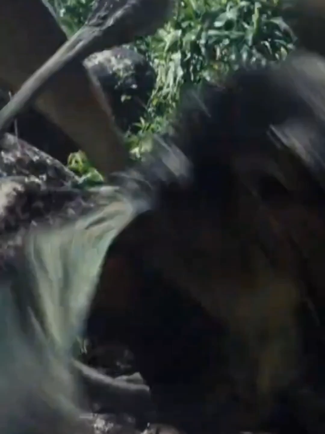 Dimorphodon #shorts #beastplanet #Dimorphodon #AncientCreatures #PrehistoricLife #ExtinctAnimals #FossilRecords #DinosaurEra