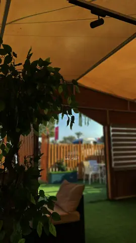 اللهم اختر لي ولا تخيرني 🤍 