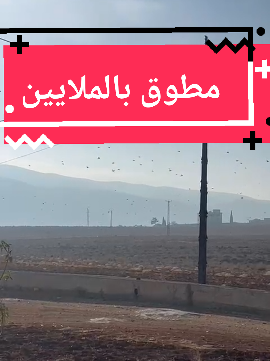 عينة صغير عن شو صار اليوم 