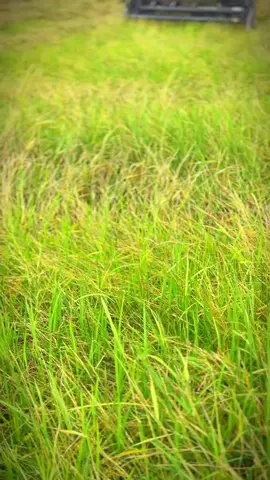 Biết ai rồi đó🤣🤣🌾🌾#dc105xแทรคเหล็ก #dc108xรุ่นใหม่ตู้แอร์ #🌾🌾🌾 #xuhướngtiktok @Minh Truyệt @Năm LV @An duong @BằngTrần 67AG🌾 