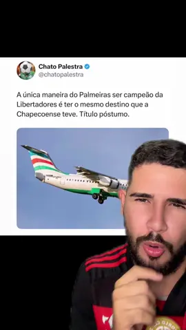 Lamentável um torcedor do palmeiras desejando que o avião do próprio time caia #flamengo #palmeiras #vamosflamengo #avantipalestra #futebol 