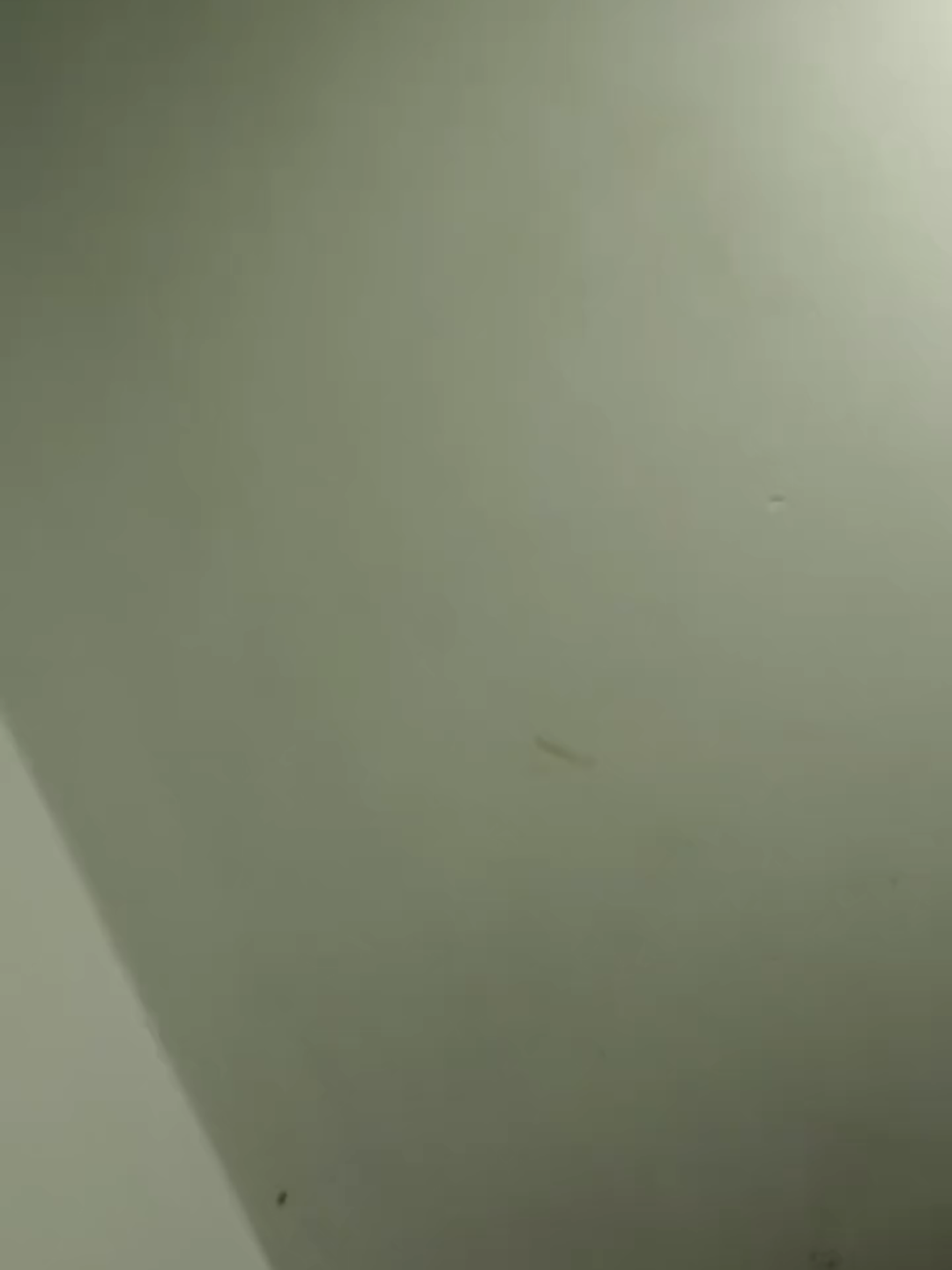 🗣️ : Tutor softspoken  👤 : udah bawaan dari lahir hehe