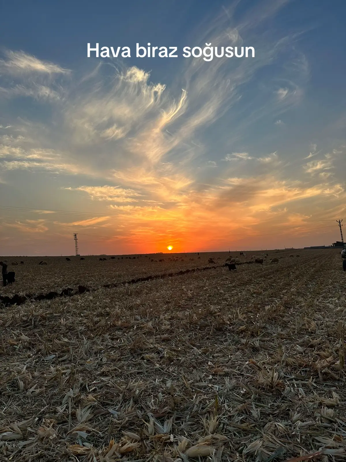 #keşfetteyizzz #beniöneçıkart #fyppppppppppppppppppppppp 