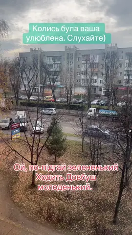 #довбуш #ойвихлопцісвистомсвистрм #наємгаємзелененьким #ойпопідгайзелененьний #добрийвечірштефанова 