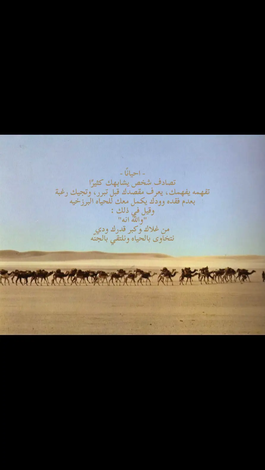 🤎!#fyp #fyyyyyyyyyyyyyyyy #شعر #قصيد #explorer 