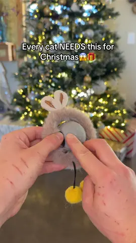 Link in bio! #cats #cattoys #kitten #fyp 