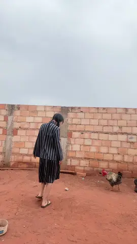 Ele literalmente n gosta que eu dance essa música kkk #wednesday #wandinha #merlina #djbruninxm 