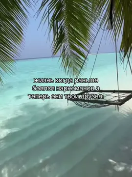 #щп #щитпост 