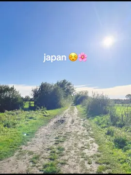 #japaneffect 