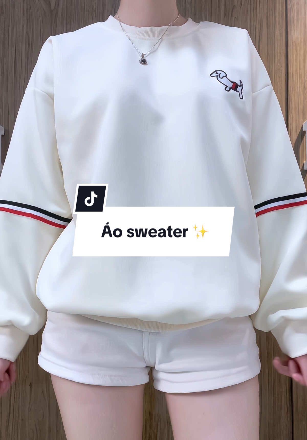 Áo sweater thêu cún ✨#aosweater #aoni #aoxinh #xh 