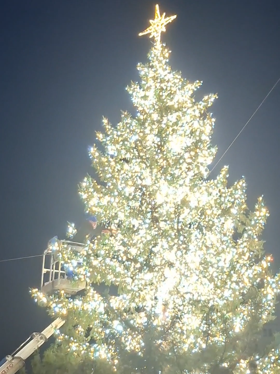 S-a aprins bradul de Crăciun la Suceava