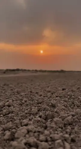 ‏قال الامام علي ؏ لاتكن عبداً لغيرك وقد جعلك الله حراً 💙 #الامام #علي          #fyppppppppppppppppppppppp #fyp #كربلاء 