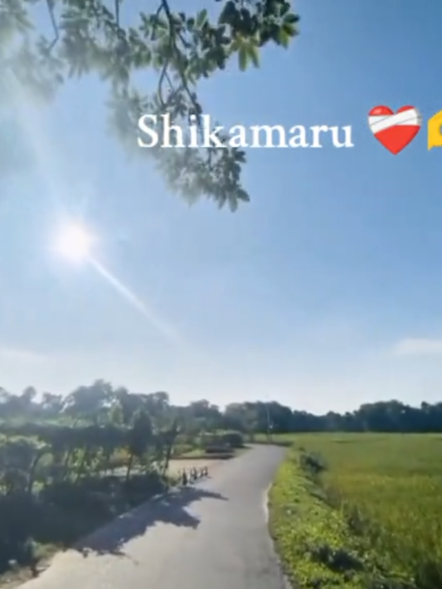 Shikamaru nara 🫀❤️‍🩹 Naruto shippuden  #animeedit #nature #narutoshippuden #demonslayer #AttackOnTitan 