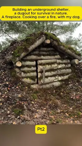 Pt2 | Building an underground shelter, a dugout for survival in nature. A fireplace. Cooking over a fire, with my dog. #survival #Outdoors #camping #bushcraft #shelter 