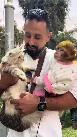 البنت بنت حتي لو قرده بداره الغيوره 😹😹😹😹#حيوانات_ابو_اسيا 