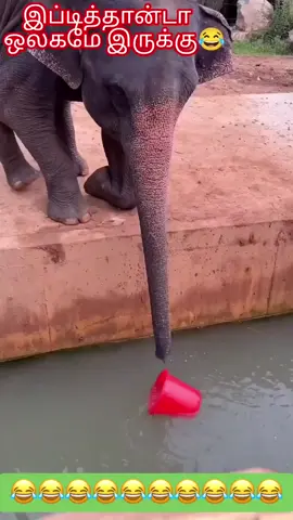 இப்படித்தான் நம்மட வாழ்க்கையில சில பேர் நமக்கு வர வாய்ப்ப  தட்டிட்டு போயிடுவாங்க🤣🤣🤣🤣