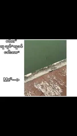 ဟုတ်''ပေါးပါတယ်''😂 . . . . . . . . #viral #views #1M #100kviews #fpy_tiktok #fpyシ #fyppppppppppppppppppppppp #fpy #fpyyyyyyyyyyyyyyyyyyyyyy #ငါသေမှပဲfypပေါ်ရောက်မှာလား😑😑 #viewsလဲးတက်မလာ😑😑😑 #ဒီတစ်ပုဒ်တော့fypပေါ်ရောက်ချင်တယ် 