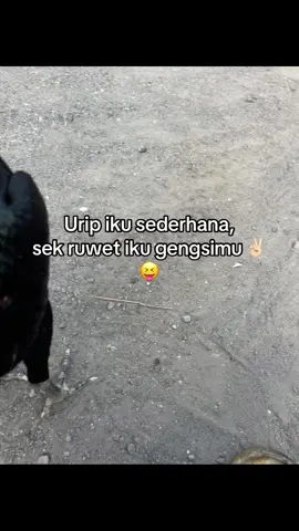 Sezz woo #ayam #bangkok #masukberanda #fyp #ayambangkoksuper 