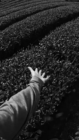 صدقت القول يا امير المؤمنين 😼🌷. #تصميمي #علي_بن_ابي_طالب #pppppppppppppppppppppp 