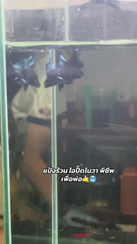 #ท้ายเด็กเลี้ยง #ฝากงานเด็กบ้านๆด้วยคับ #หวานเจี๊ยบ 😁💯🥶