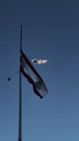 #لبنان #🖤🥀 #fyppppppppppppppppppppppp 