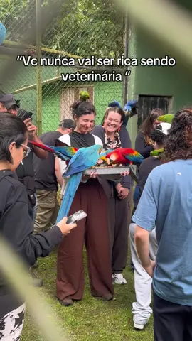 O que é riqueza pra você? #veterinaria #veterinarian #vet #aves #silvestres 