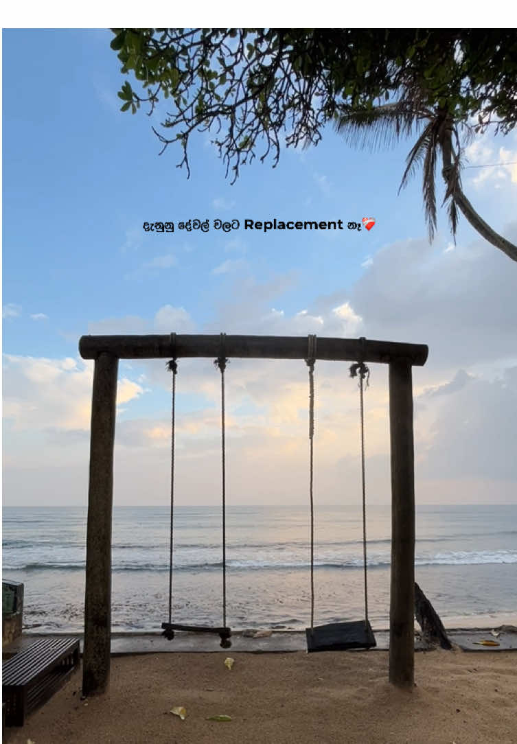 ජීවිතේ සමහර බැඳීම් තියෙනවා  ඒවට නිර්වචන නෑ.. #fypシ゚viral🖤tiktok #fypシforyoupageシtiktok #srilankan_tik_tok🇱🇰 #evening #neera 