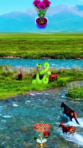 #ইসলামিক_ভিডিও #❣️তুমি❣️আমার❣️জীবন❣️সাথী❣️ 