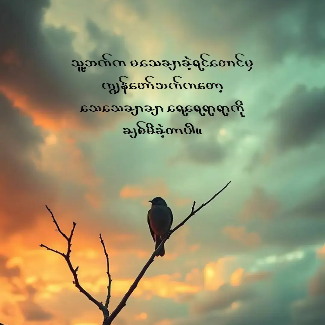 နာမည်တပ်ပြီး ပြောခွင့်မရှိတဲ့ အလွမ်းတွေ#following #foryou #foryoupage #tiktok 