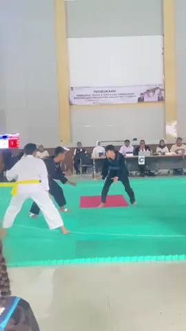 partai panas final kelas B dewasa🔥🥵👏🏻 #pencaksilat #silatindonesia #fyppppppppppppppppppppppp 