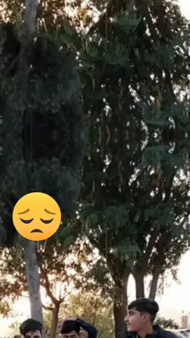 ##[thinking][thinking][thinking][thinking][thinking][thinking][thinking]