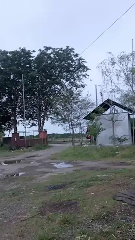 #fypp #gayabebas🔥 #tiktokviral 