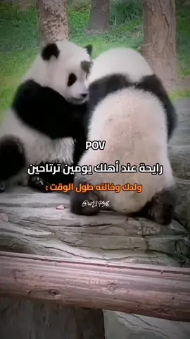 😂😂😂💔 #الانتشارالسريع #الشعب_الصيني_ماله_حل😂😂 #pov #ضحك #اكسبلورexplore 