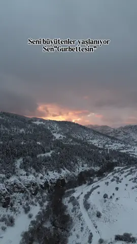 Seni büyütenler yaşlanıyor sen “Gurbettesin”. .Soyka gurbette ben neydem. . . . . . . . .#keşfetteyizzz #keşfetbeniöneçıkar #takip#keşfetteyizzz #öneçıkar #beniöneçıkart #takip #takipet #benitakipet #öneçıkar #öneçıkart 