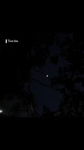 🖤✨#trending #viral #fyp #foryou #fypシ゚viral 