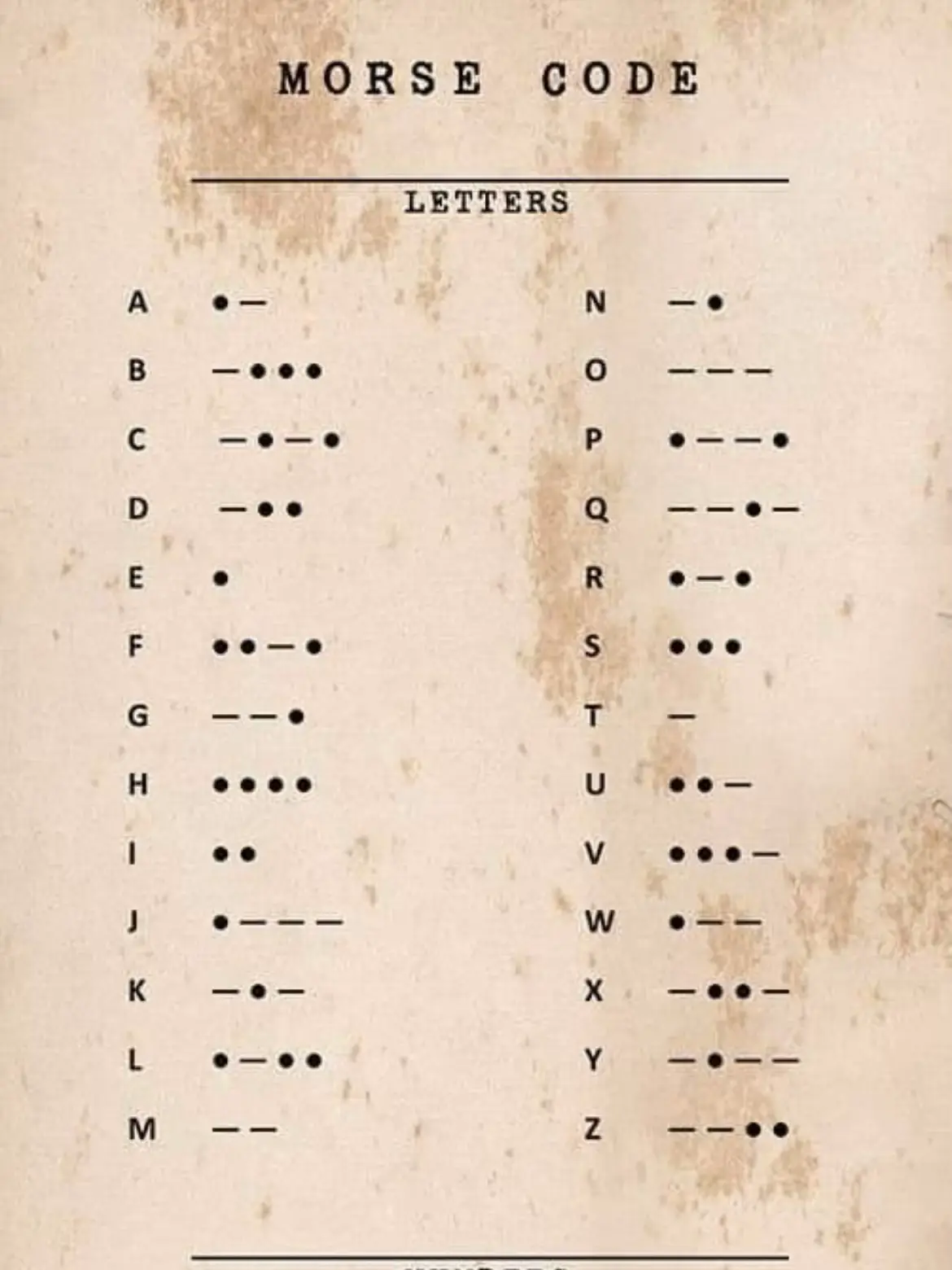 Моя любимка ❤️❤️❤️@sofofa50  #любовь❤ #щп #кодморзе #влв